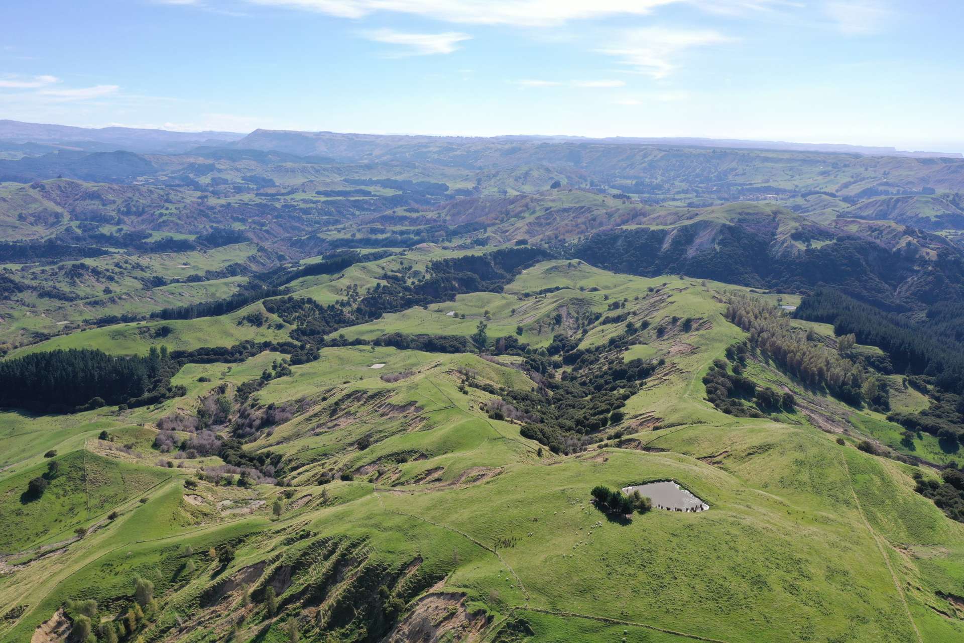 967 Glengarry Road Puketapu_0