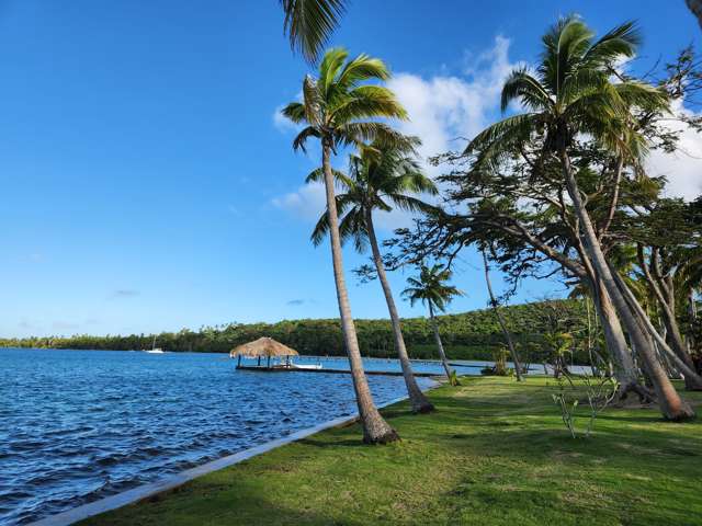 Dolphin Island Fiji_4