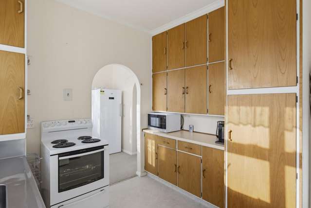 61 Salisbury Street Levin_2