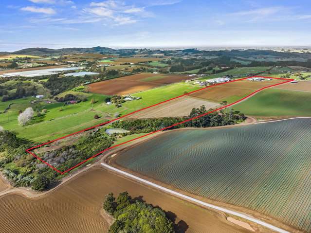 87 Mill Road Pukekohe East_3