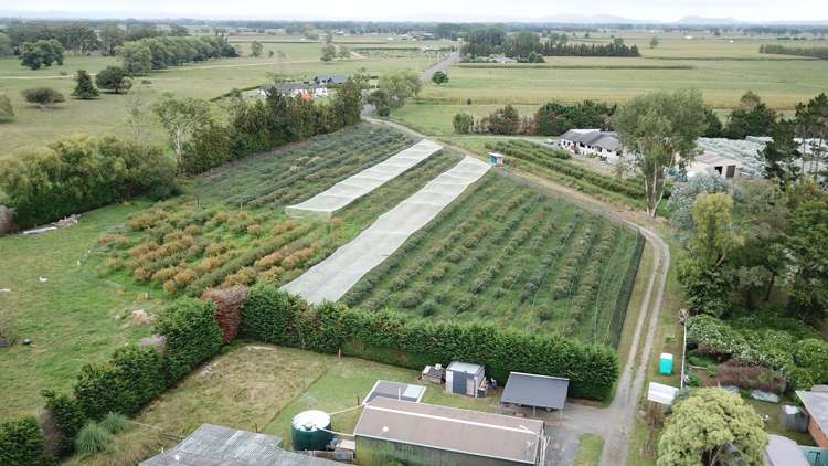 549a Seddon Road Gordonton_5