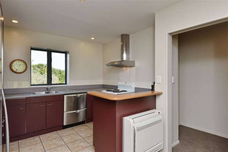 13b Devon Street Sydenham_10