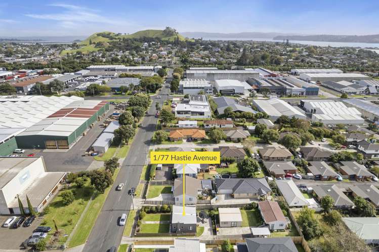 1/77 Hastie Avenue Mangere Bridge_14