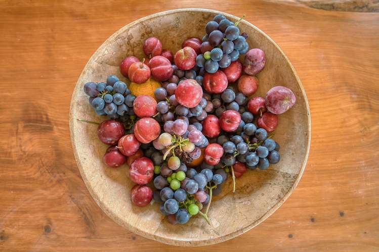 210 Keogans Road Rd2, Hokitika_15