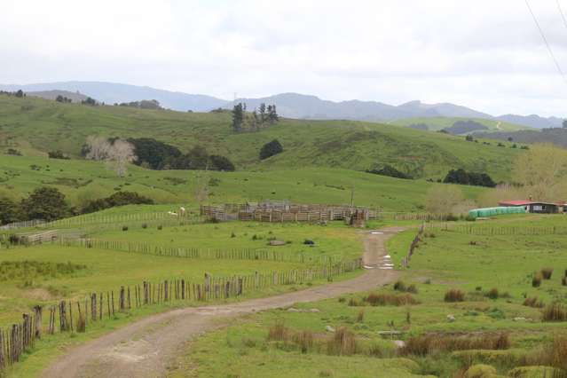 Aponga Road Ruatangata_1