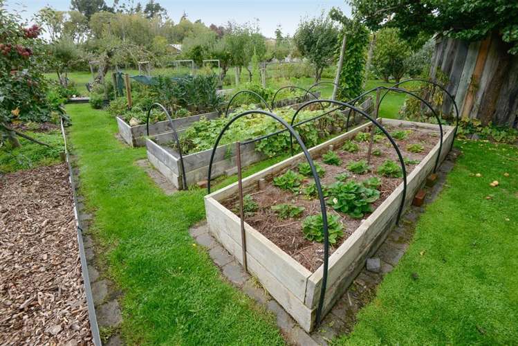 3 Mendip Road Cheviot_14