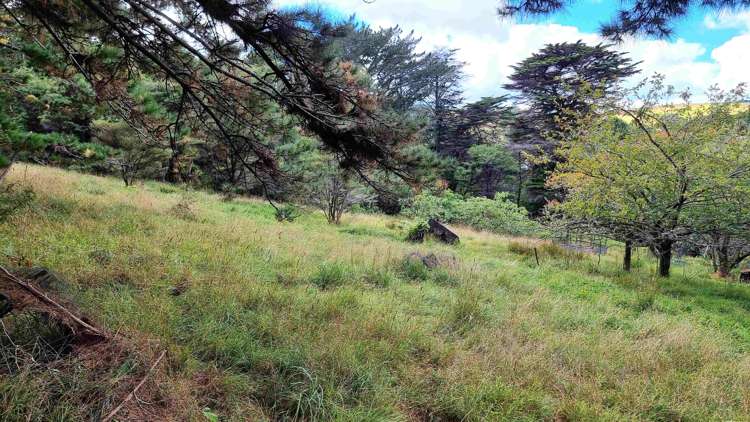 294 Foster Road Waimauku_5