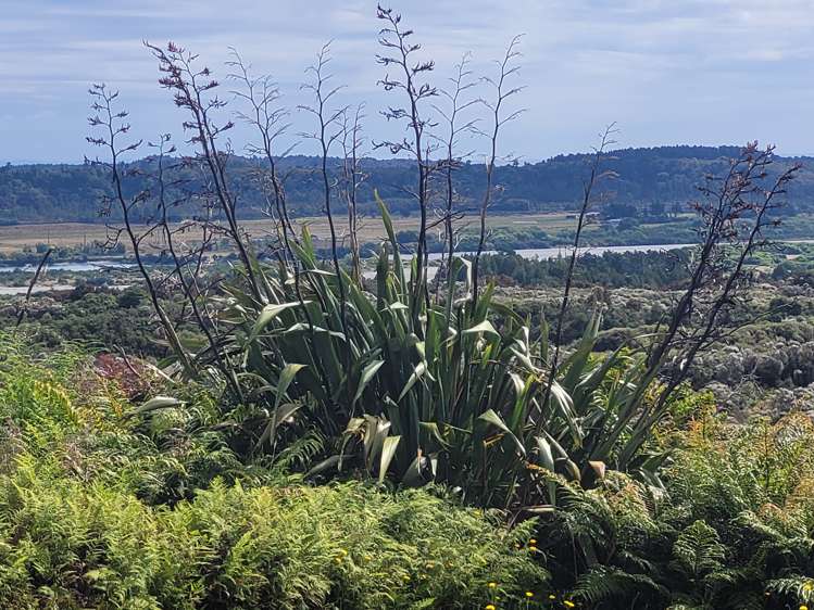 127 Brickfield Road Hokitika_50