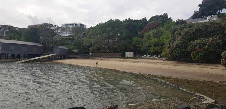 2/151 Jervois Road Herne Bay_11