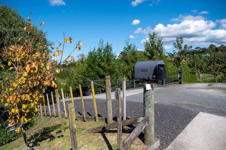 349A Whakamarama Road Whakamarama_2