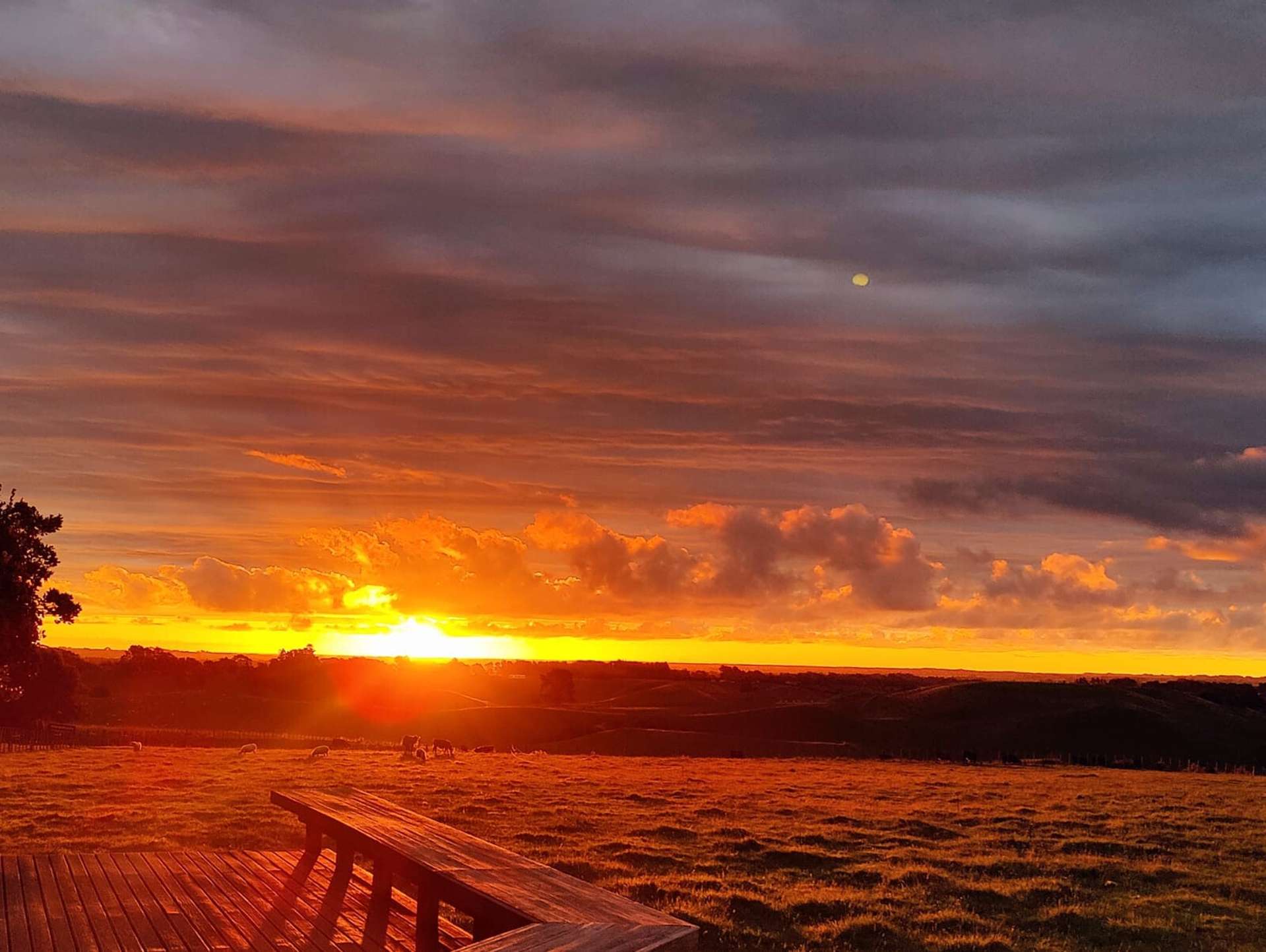 121 Mount Stewart Halcombe Road Sanson_0