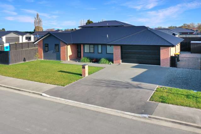 Modern Three Bedroom In Tinwald!