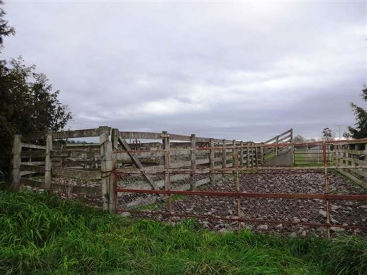 455 Spur Road Rosewill_14