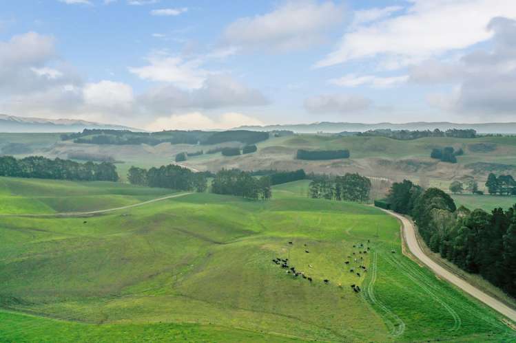 89 Brookstead Road Ngapara_19