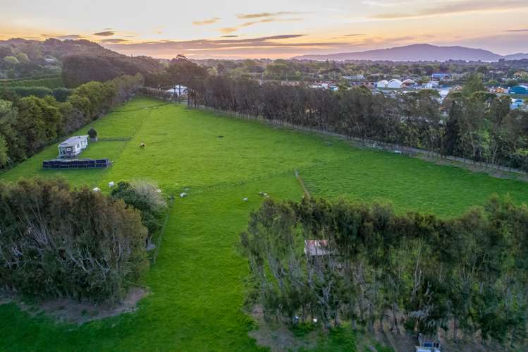 48 Elizabeth Street Waikanae_42