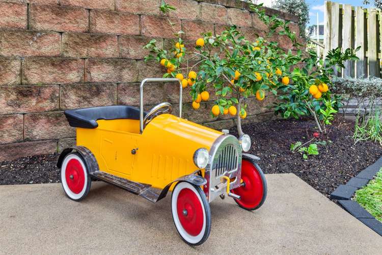 274 Ocean Road Ohope_29