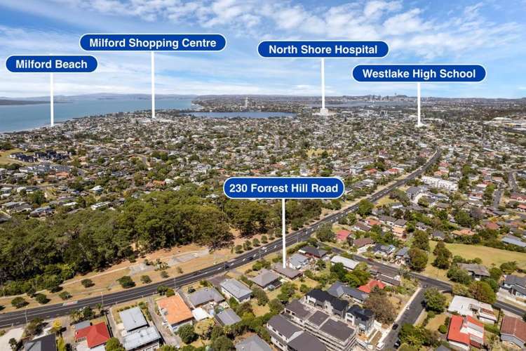 230 Forrest Hill Road Forrest Hill_21