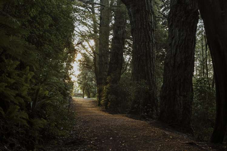 91 Cannington Road Maori Hill_19