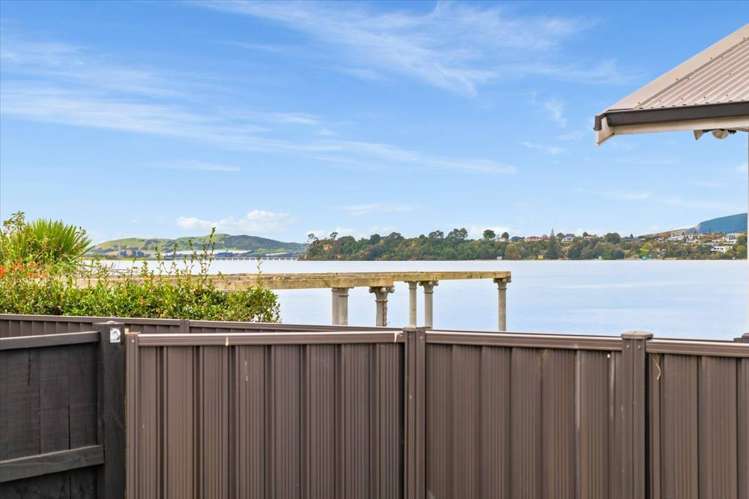 5 Fourteenth Avenue Tauranga South_11