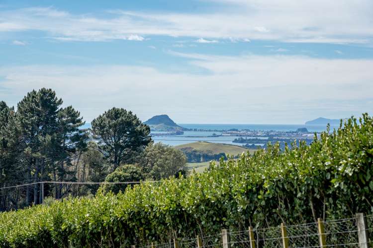 23b Neewood Road Ohauiti_17