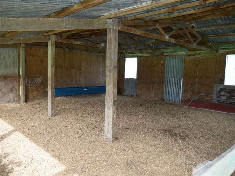 44 Wigzell Road Kahurangi National Park_14