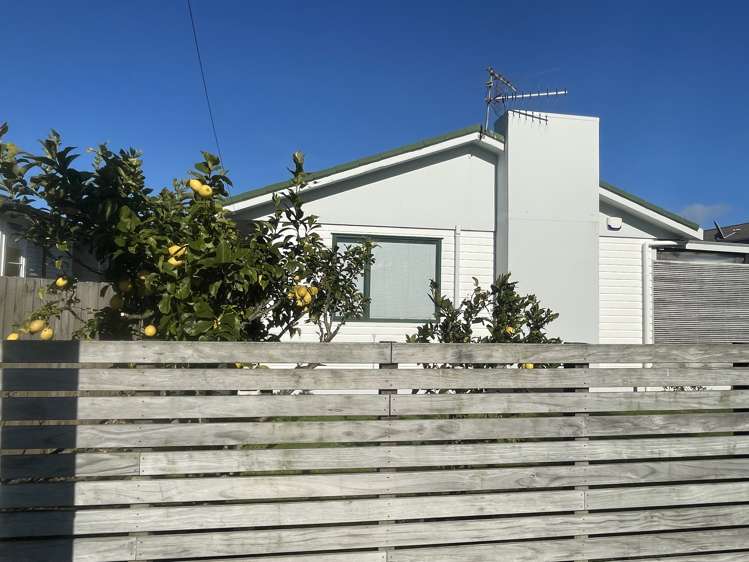 6a Vause Street Ellerslie_19