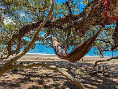 Share 2 Moturoa Island_2