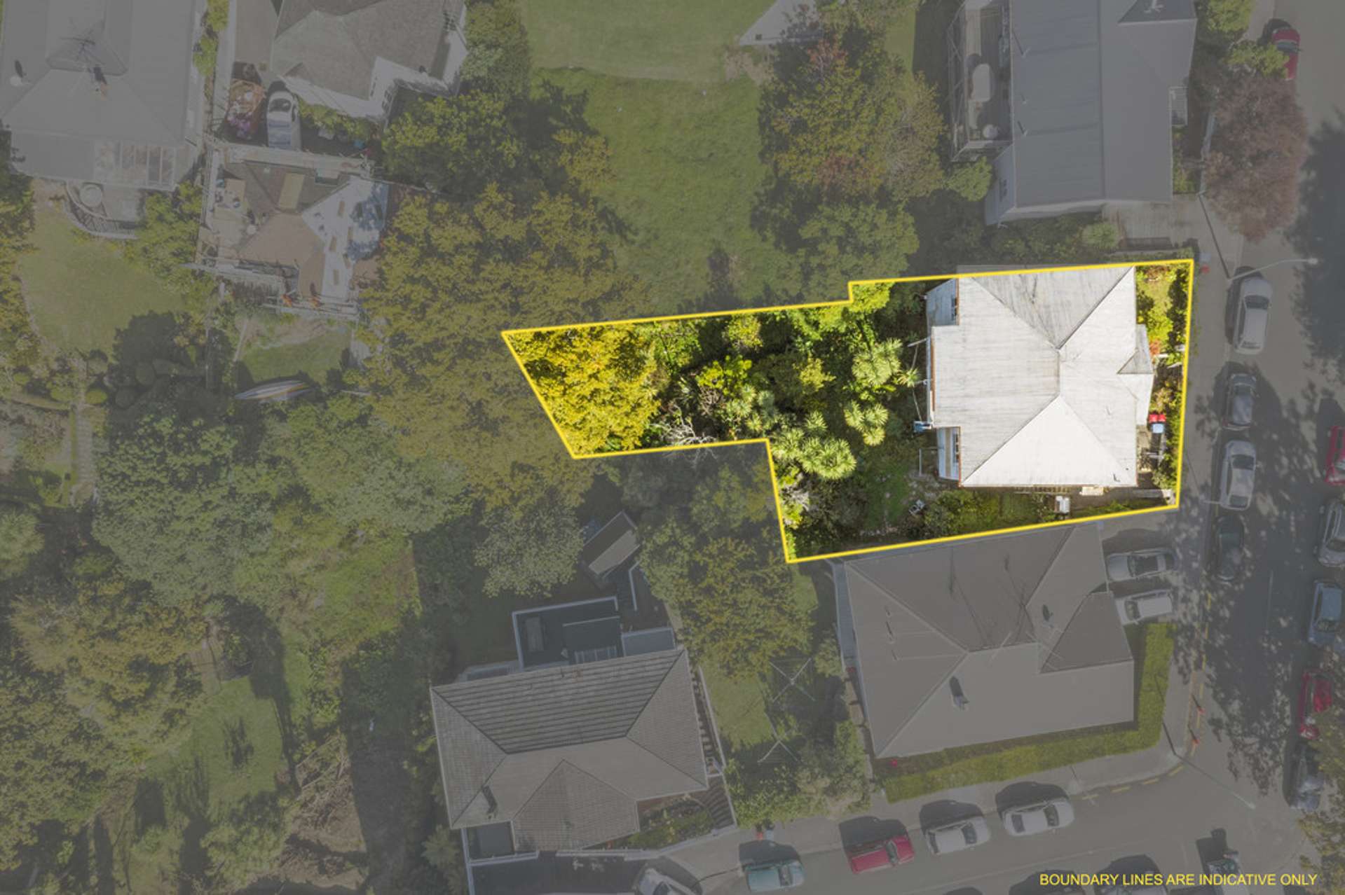 5 Laurie Avenue Parnell_0