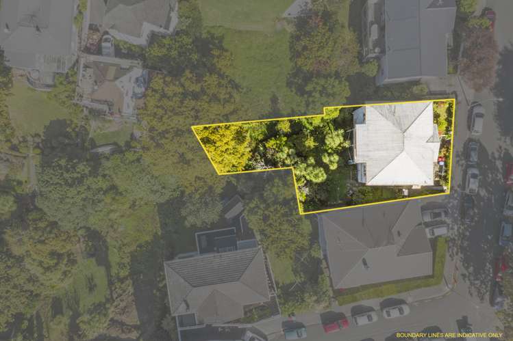 5 Laurie Avenue Parnell_0