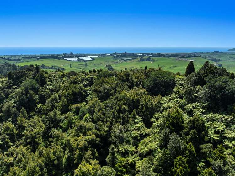Gaskill Road Tirohanga_9