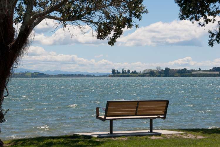 93 Waratah Street Matua_24