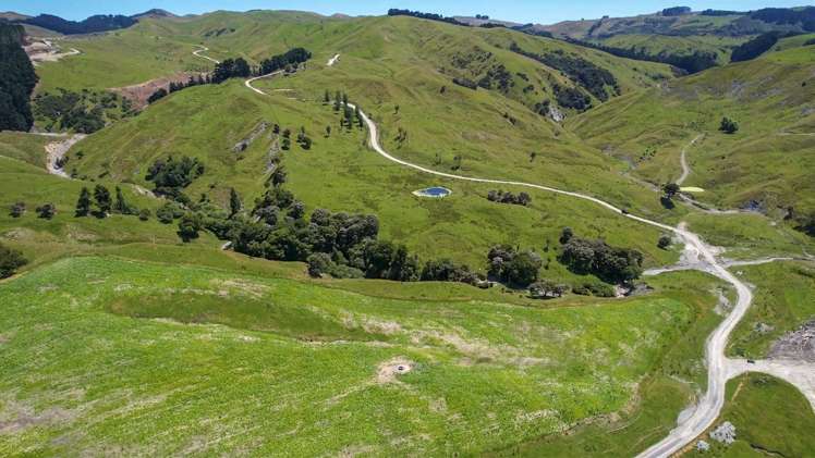 1543 Annedale Road Tinui_2