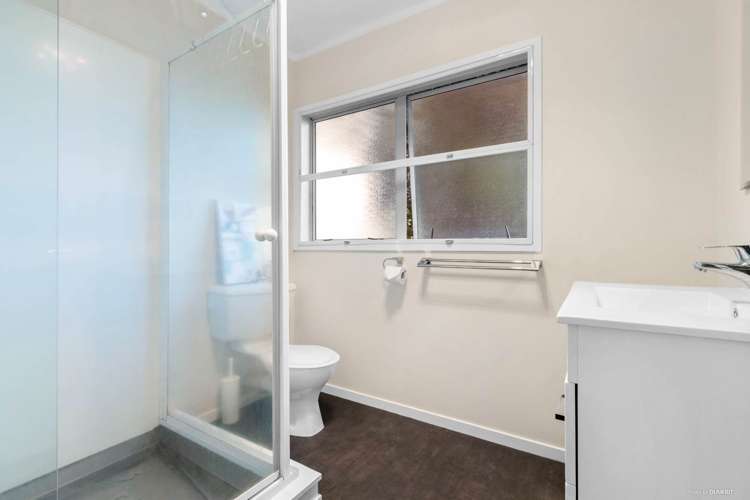 27 Collie Street Hillpark_12