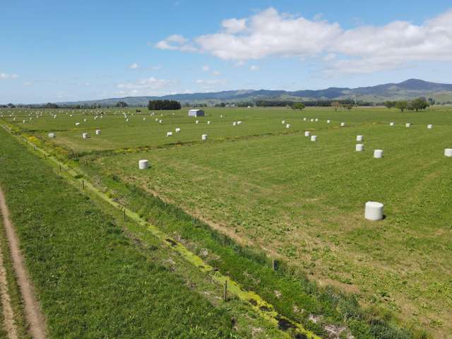 1262 Kaihere Road Ngatea_3