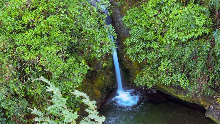 200 Glentui Bush Road Glentui_24