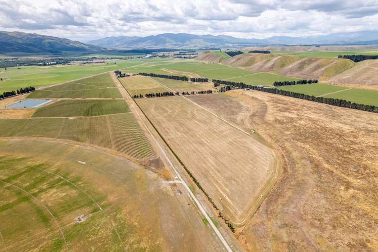 Bendigo Loop Road Cromwell_4