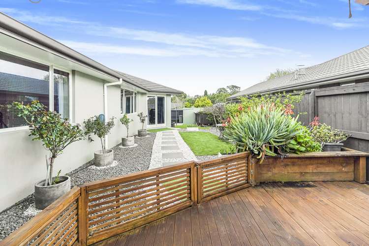 113 Coronation Road Morrinsville_12