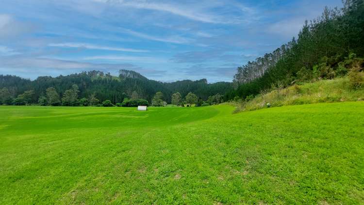 10 ha Peach Orchard Road Whakapara_21