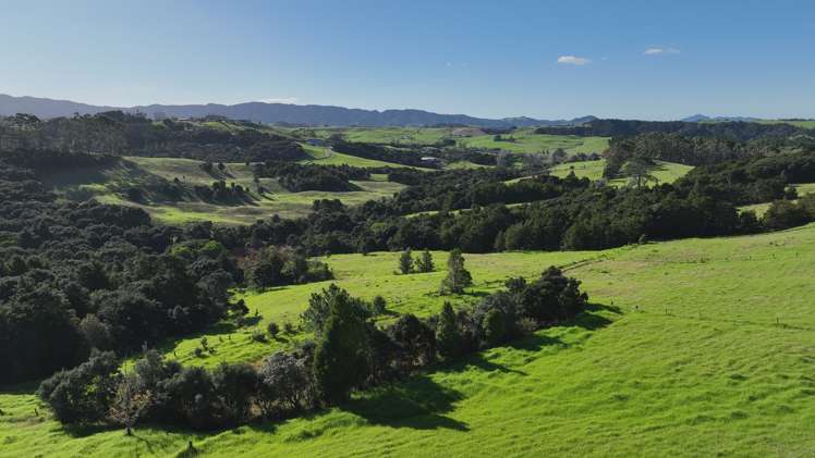 Mangawhai Bush Estate Mangawhai_10