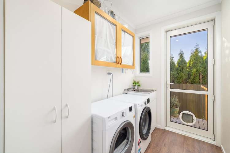 27 Roxburgh Street Sydenham_16