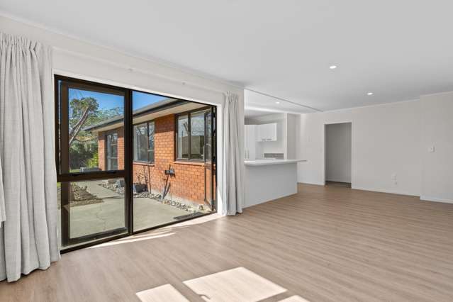 223 Redwood Street Witherlea_2