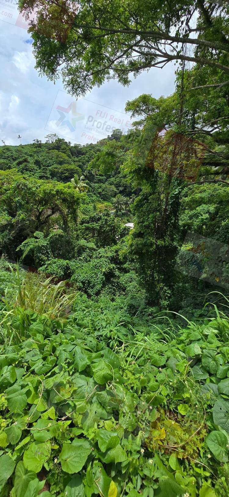 Address withheld Savusavu_18