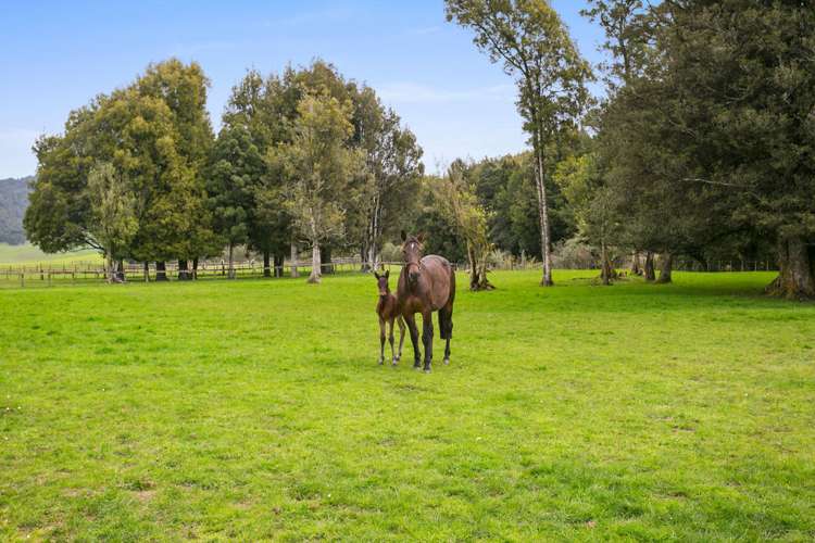 2/295 Roberts Road Cambridge_4