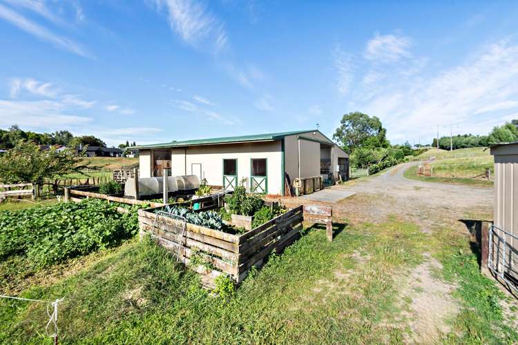 48 Moxham Road_0