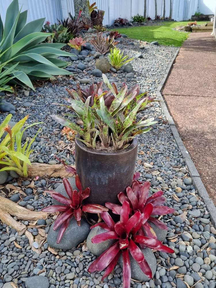 1/17 Athena Drive Totara Vale_19