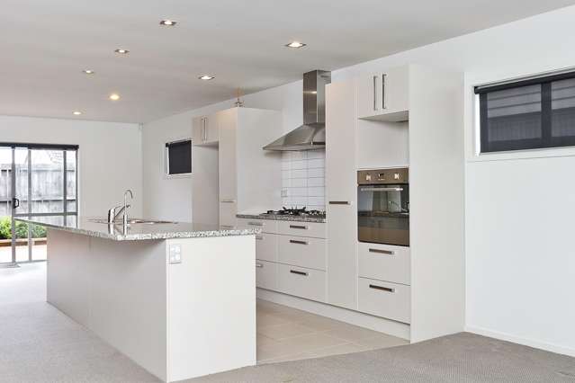 15 Birchlands Road Flat Bush_4