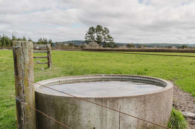 60 Whirinaki Road Galatea_15