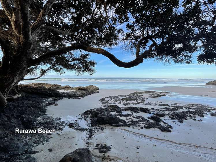 Lot LOT 10/27 Turk Valley Rd Pukenui_15