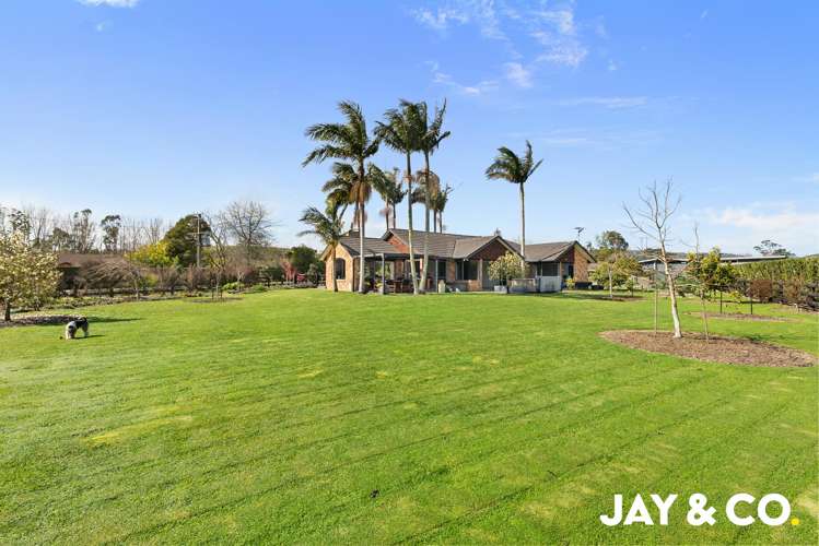 191 McNicol Road Clevedon_16