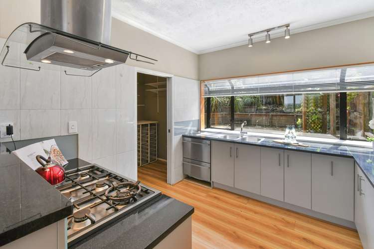 65 Eugenia Rise Totara Heights_25